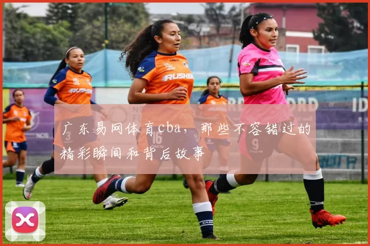 广东易网体育cba，那些不容错过的精彩瞬间和背后故事