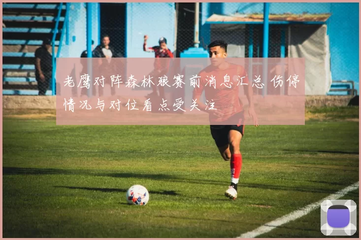 老鹰对阵森林狼赛前消息汇总 伤停情况与对位看点受关注