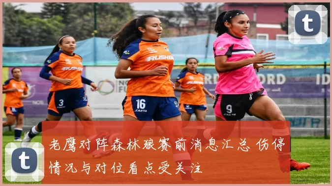 老鹰对阵森林狼赛前消息汇总 伤停情况与对位看点受关注