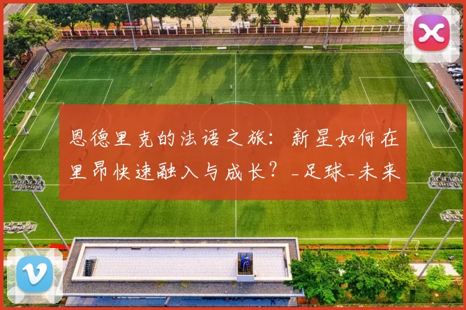 恩德里克的法语之旅：新星如何在里昂快速融入与成长？_足球_未来_态度