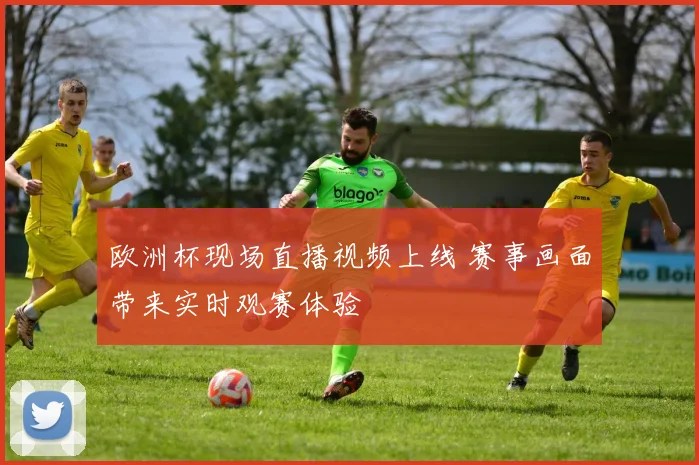 欧洲杯现场直播视频上线 赛事画面带来实时观赛体验