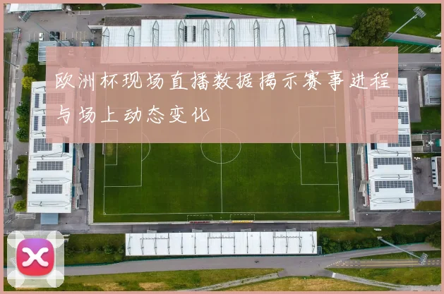 欧洲杯现场直播数据揭示赛事进程与场上动态变化