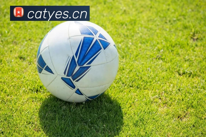 beat365在线体育平台平台生态图